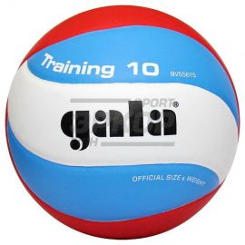 Мячи волейбольные Gala